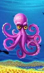 Crazy Octopus